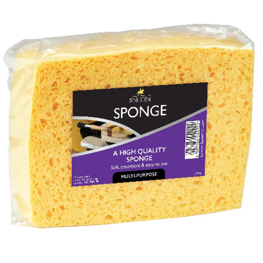 Lincoln Sponge