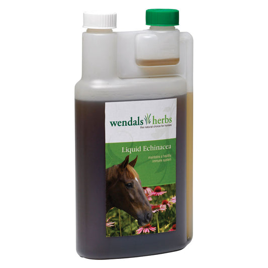 Wendals Liquid Echinacea