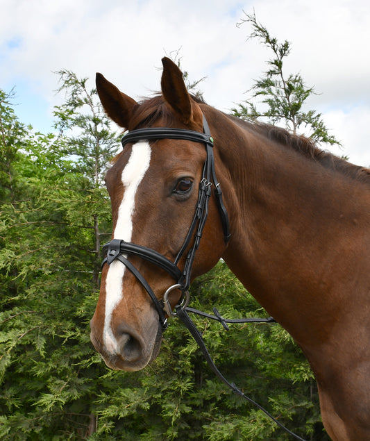 Rhinegold German Leather Bridle With Detachable Flash Noseband