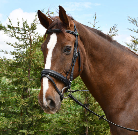 Rhinegold German Leather ‘Comfort’ Bridle With Flash Noseband