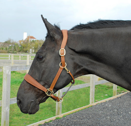 Rhinegold Anatomical Leather Headcollar