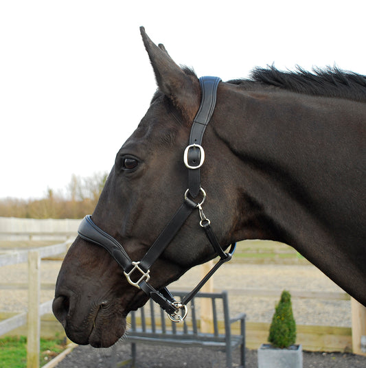 Rhinegold Softee Pro-Anatomical Leather Headcollar