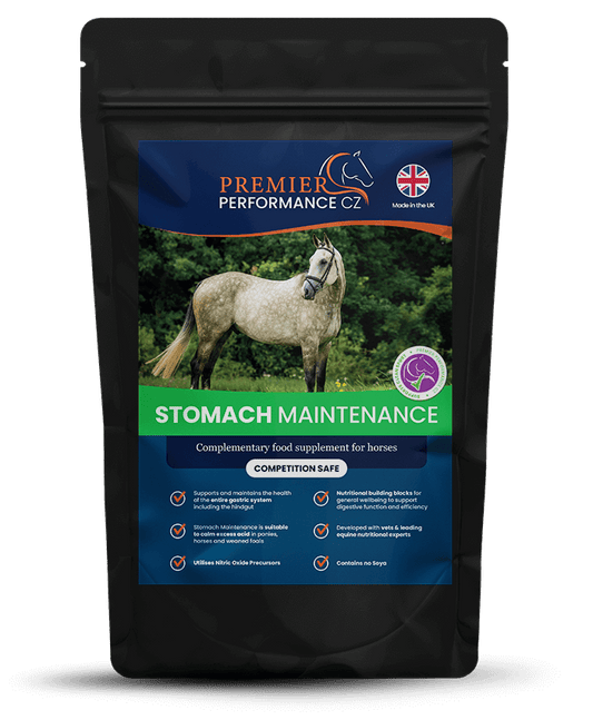 Premier Performance Stomach Maintenance
