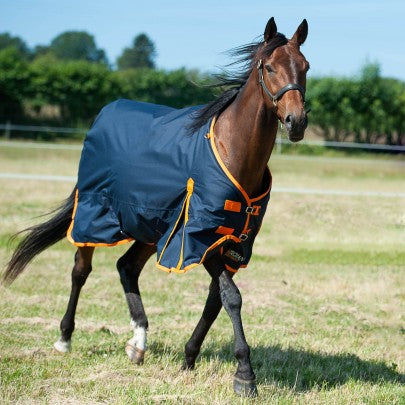 Gallop Trojan 100 Turnout Rug