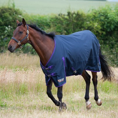 Gallop Trojan Lightweight Turnout Rug
