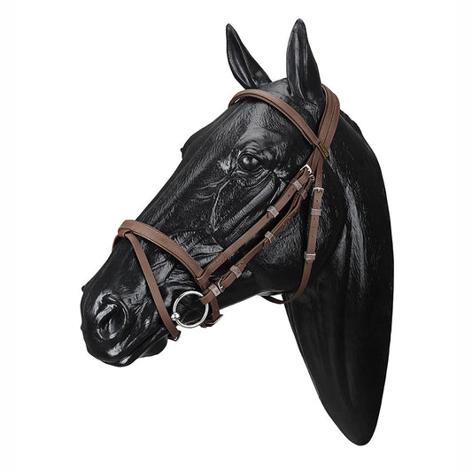 Wintec Bridle with Flash Brown