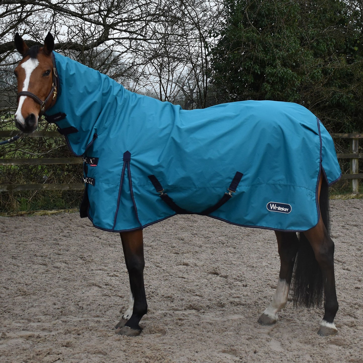 Whitaker Rastrick Turnout Rug Fixed Neck 0gm Turquoise