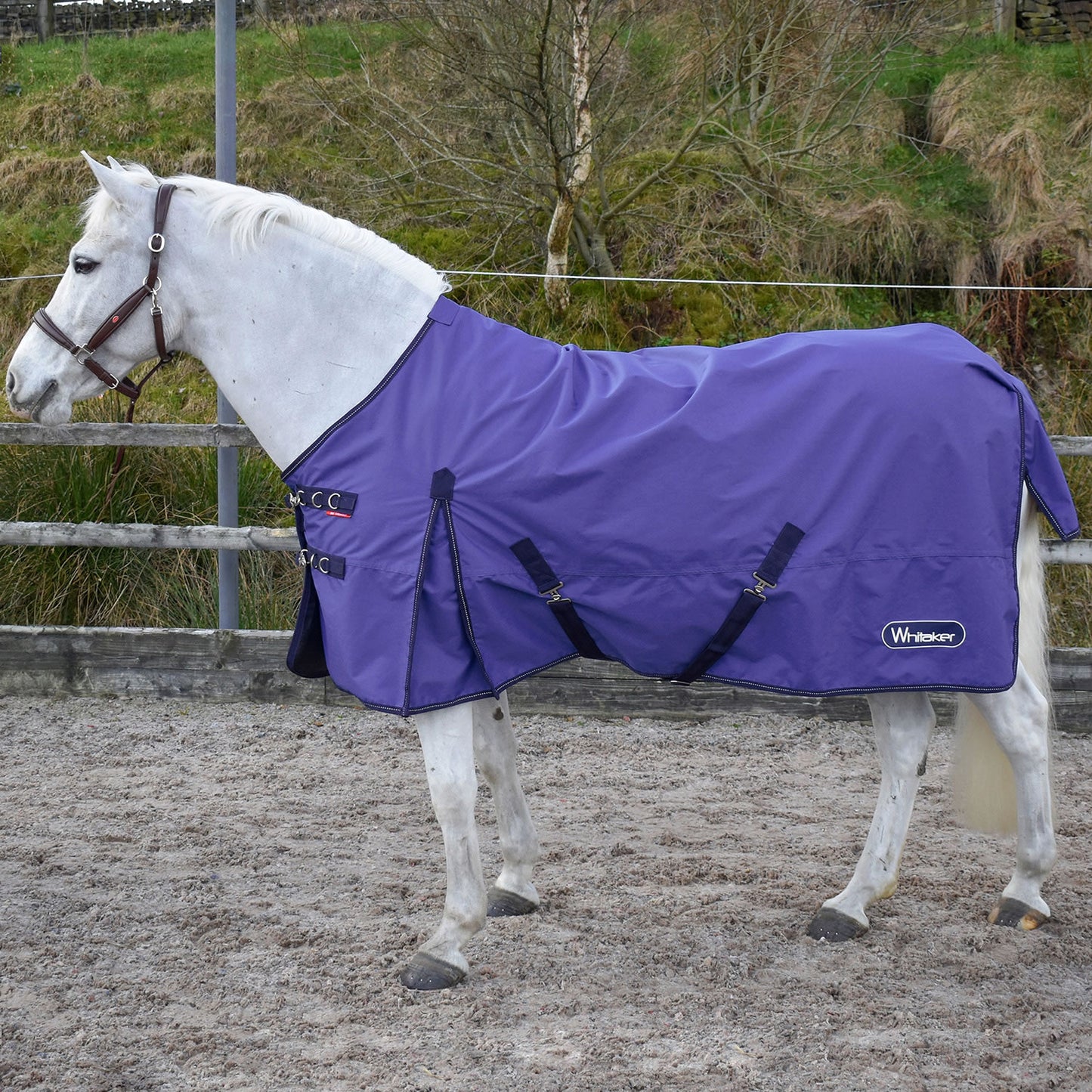 Whitaker Rastrick Turnout Rug Ogm Purple
