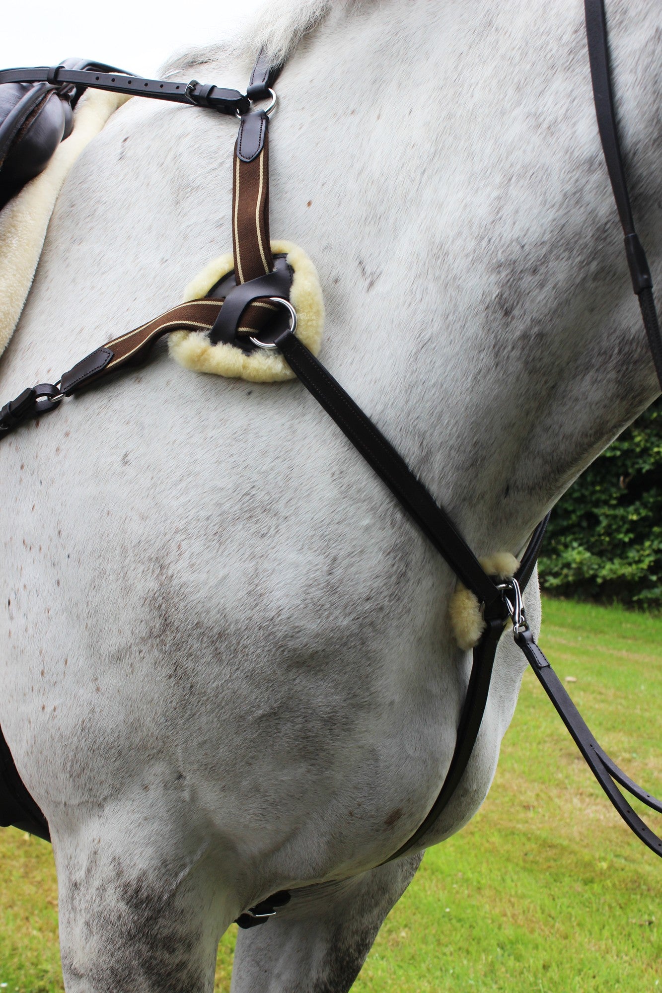 Leather 5 point breastplate