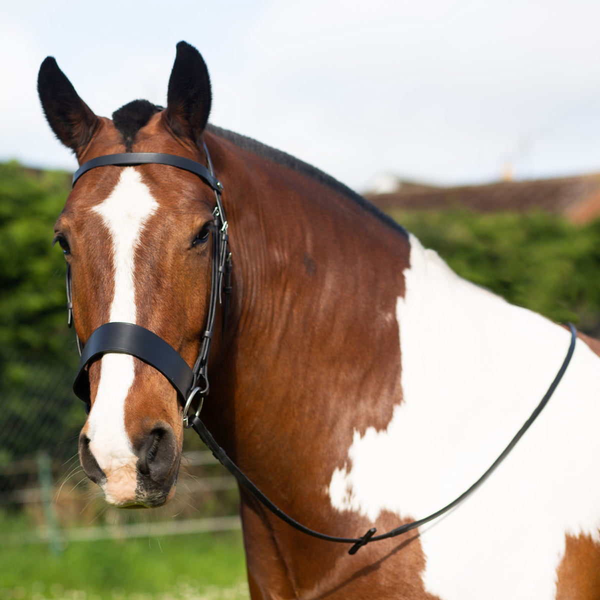 Hunter Bridle