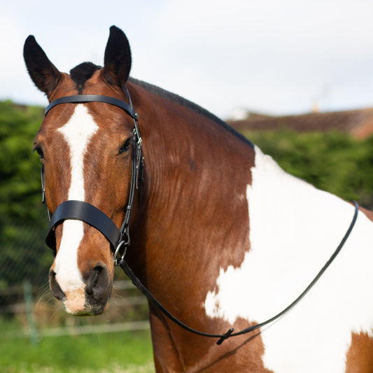 Hunter Bridle