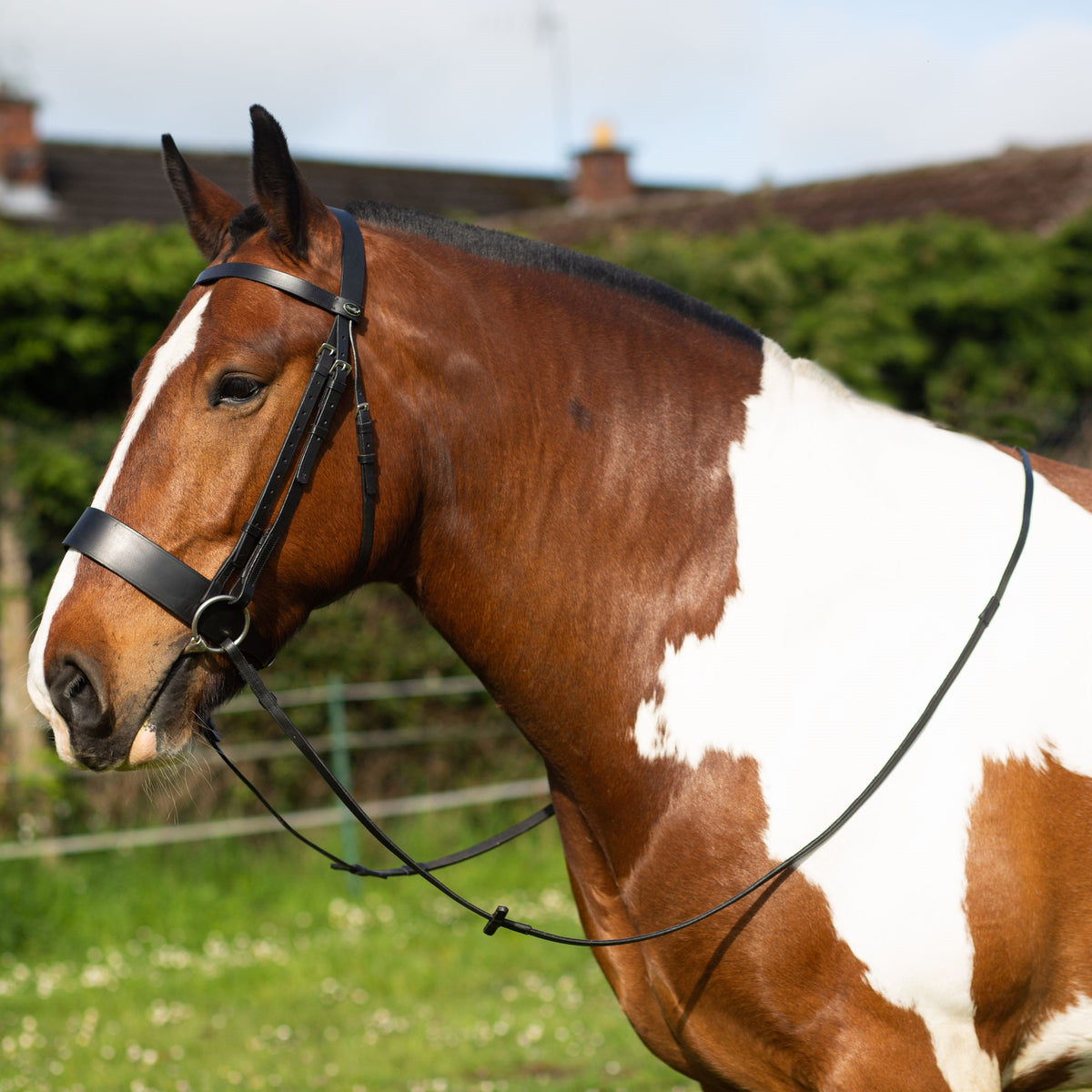 Hunter Bridle