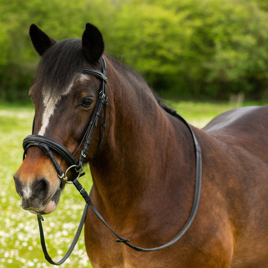 Comfort Bridle & Rubber Reins