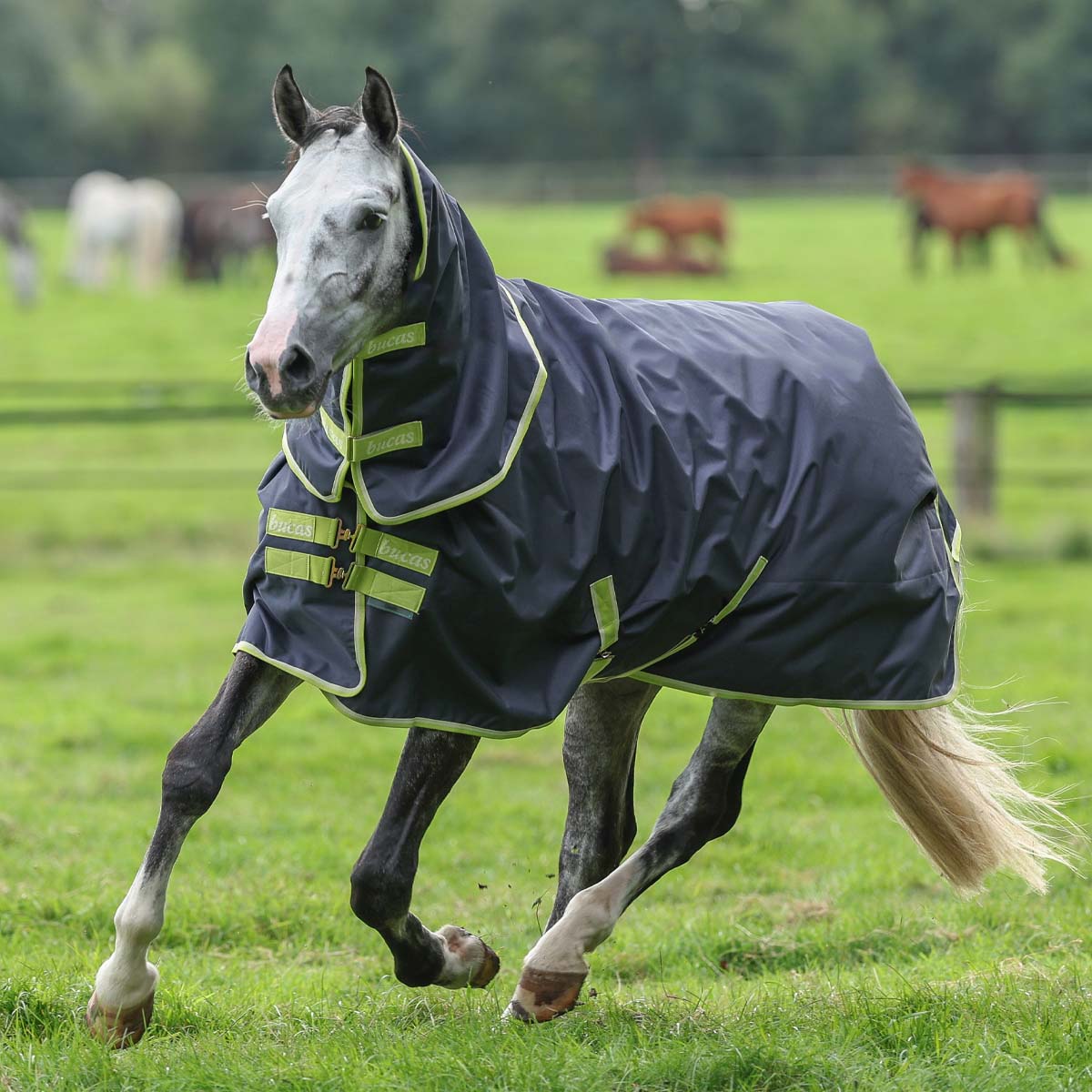 Bucas Oasis Turnout 100 & Neck Set Grey