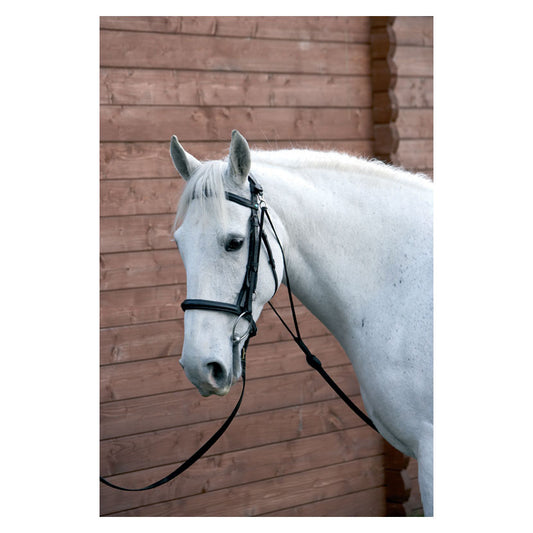 Hy Equestrian Chambon