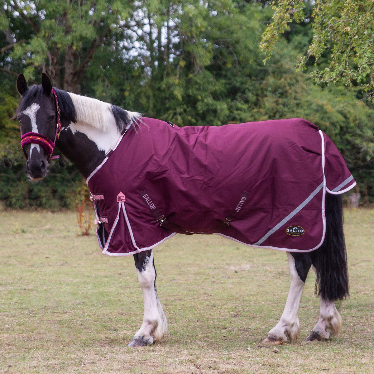 TROJAN Xtra Duraproof 200g Turnout