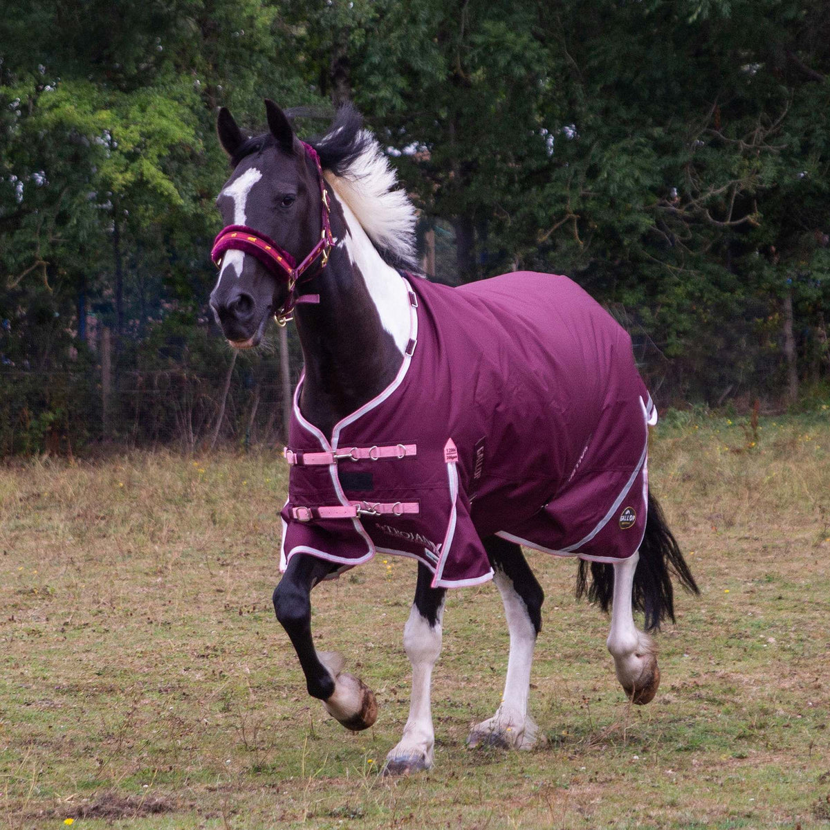 TROJAN Xtra Duraproof 200g Turnout