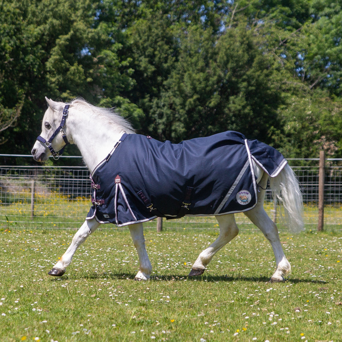 PONIE Xtra Duraproof 50g Turnout
