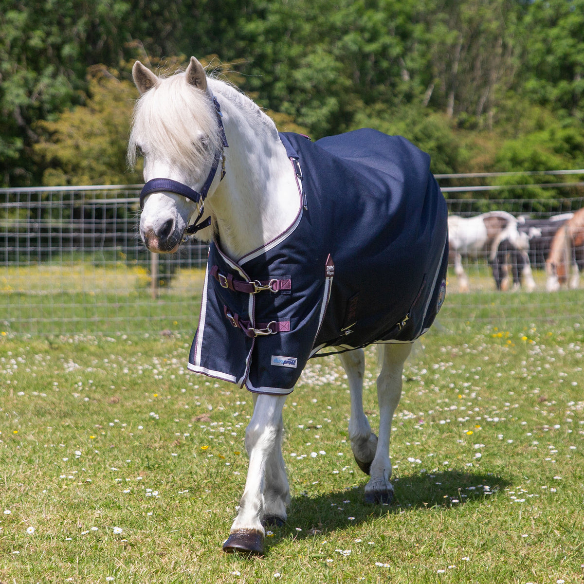 PONIE Xtra Duraproof 50g Turnout