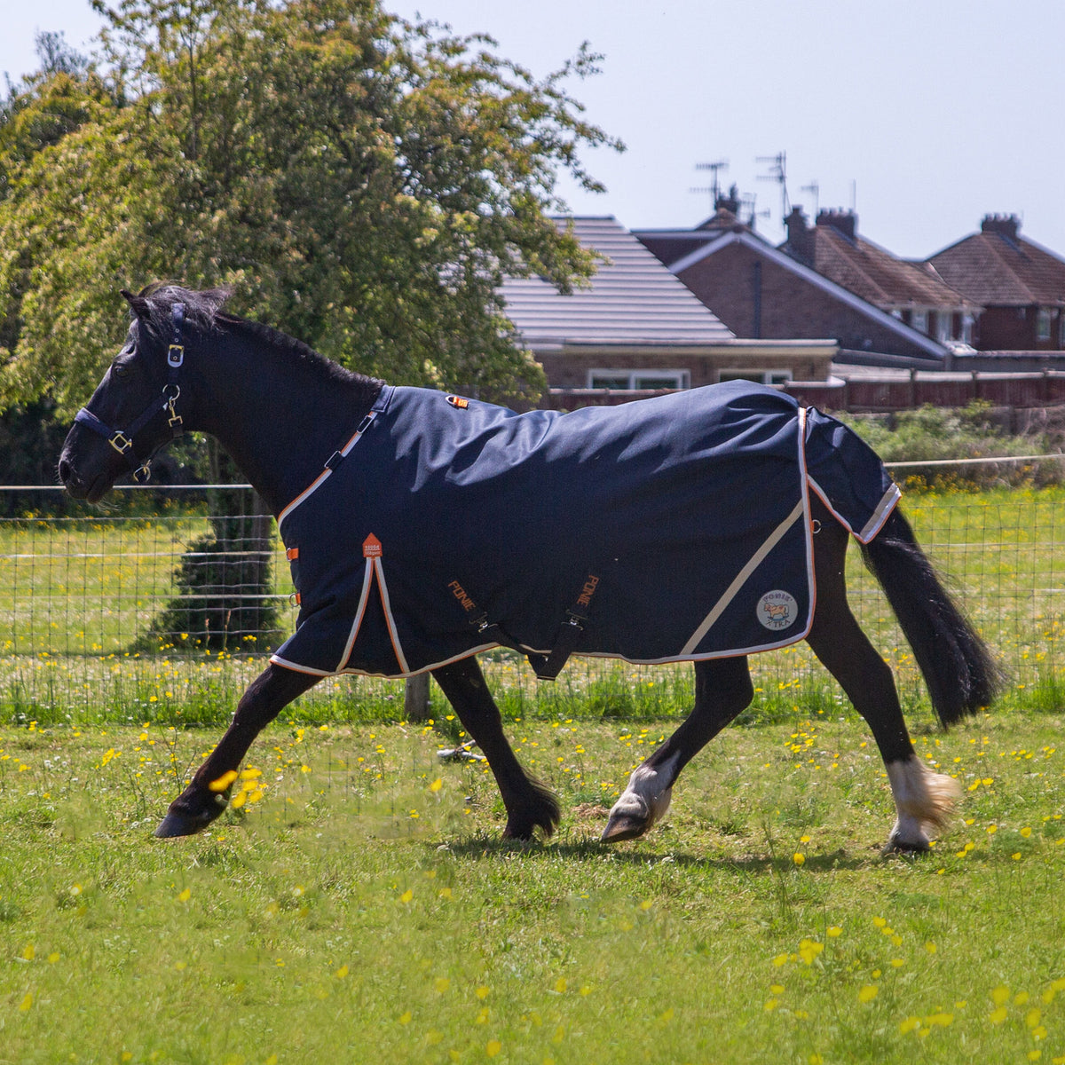 PONIE Xtra Duraproof 100g Turnout