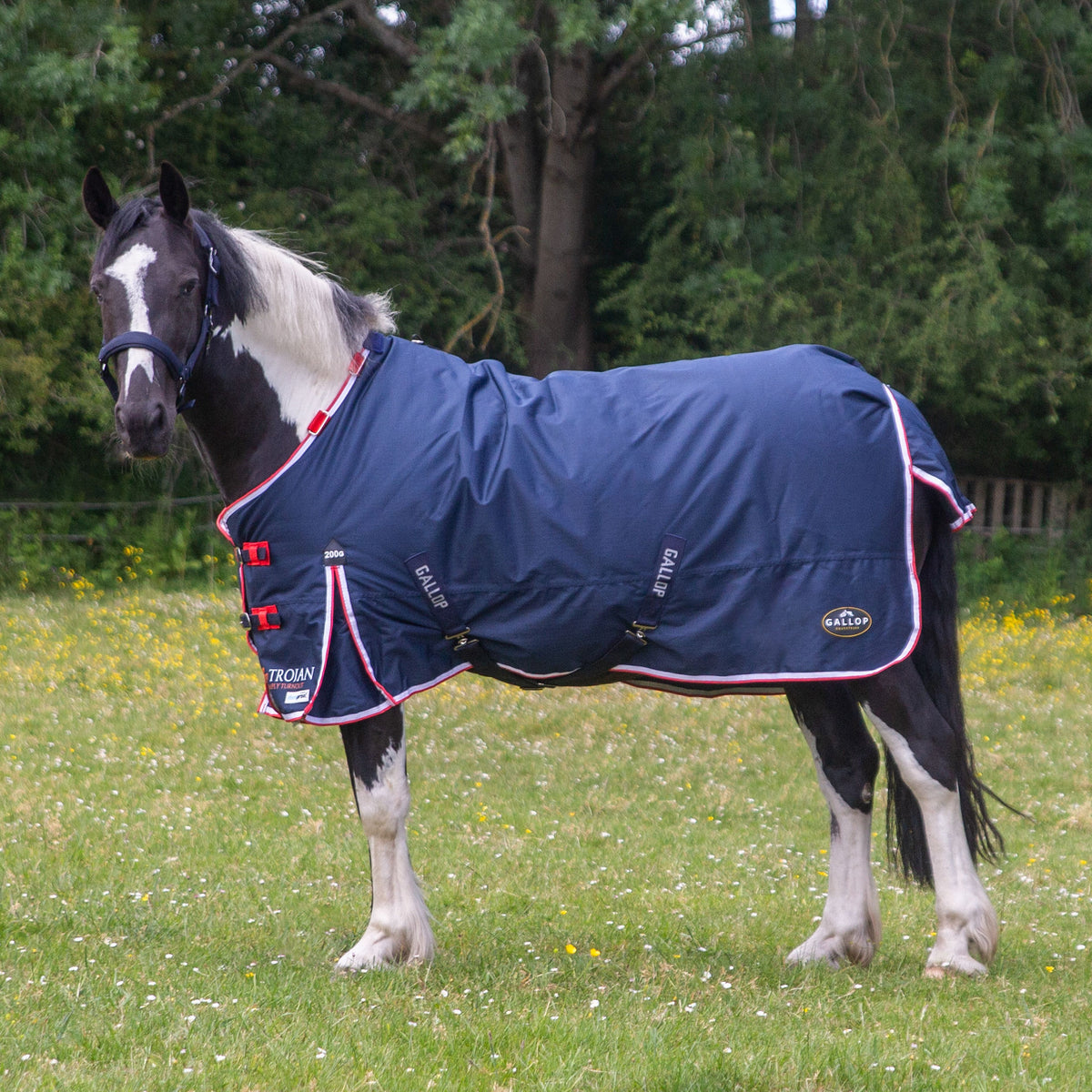 TROJAN Duraproof 200g Turnout