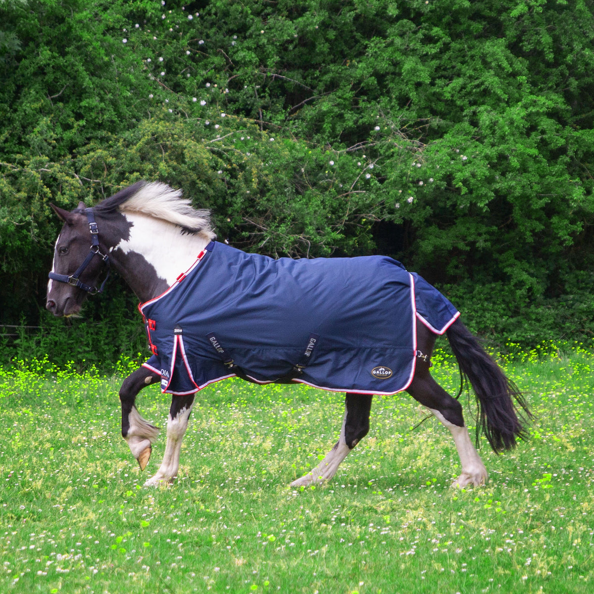 TROJAN Duraproof 200g Turnout