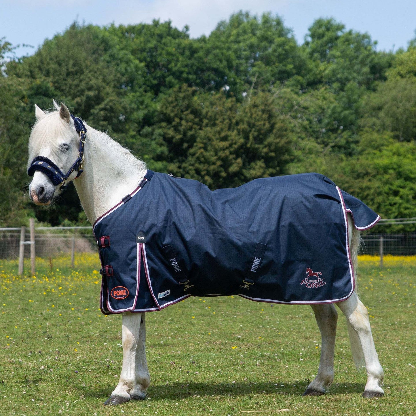 Ponie Duraproof 50g Turnout