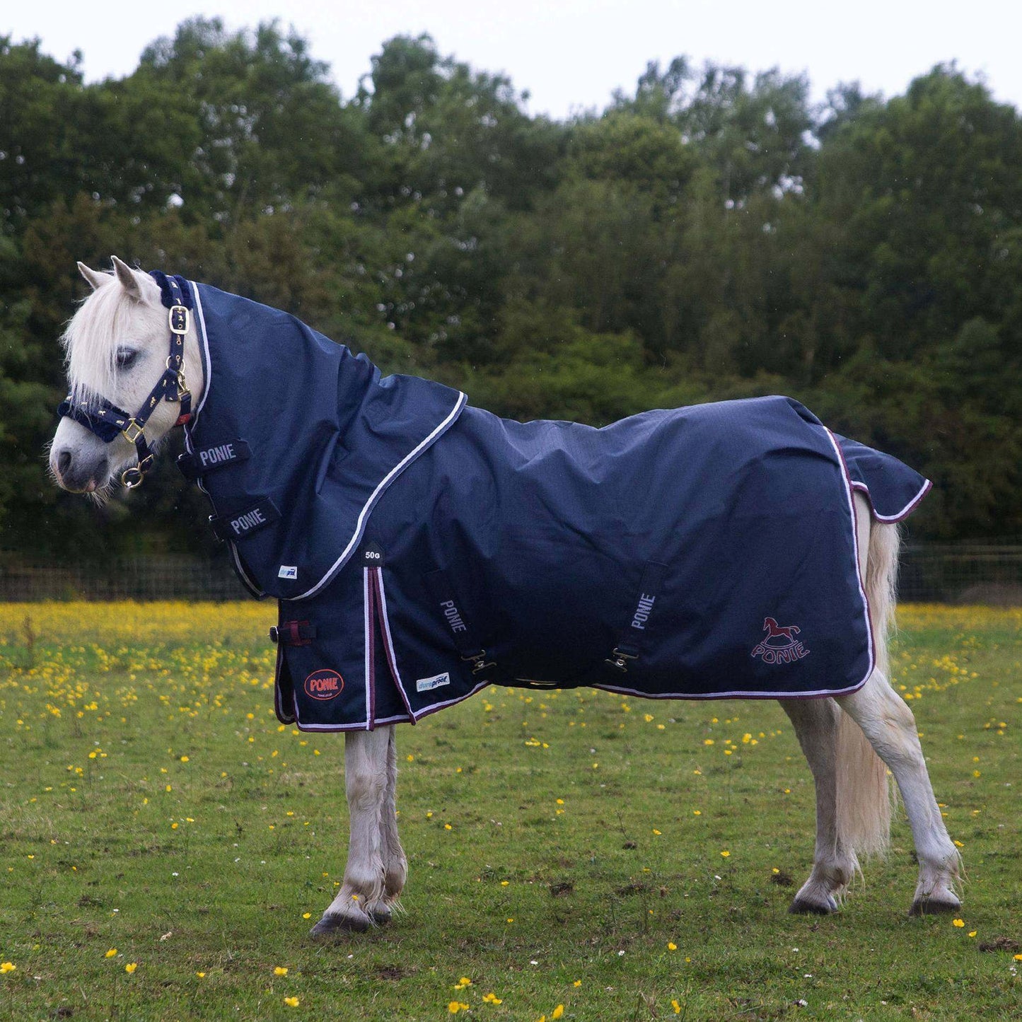Ponie Duraproof 50g Turnout