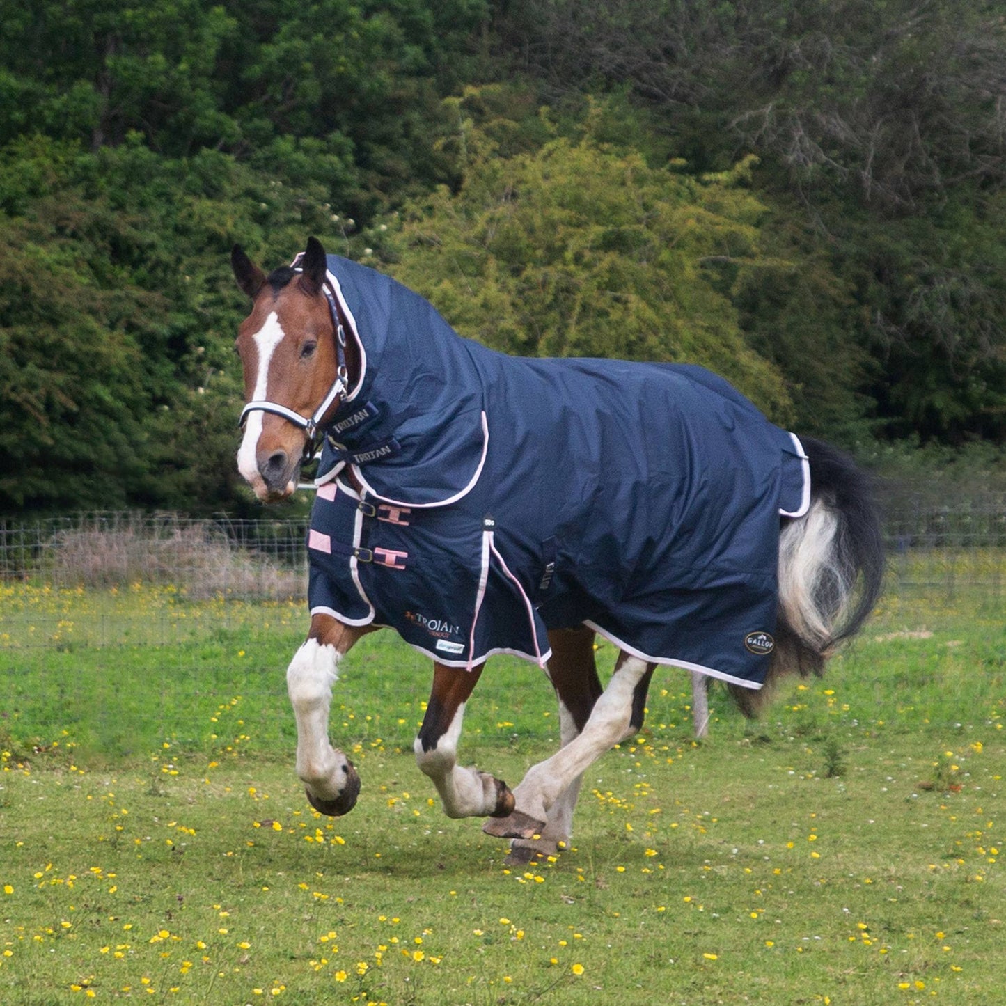 Trojan Duraproof 50g Turnout Combo