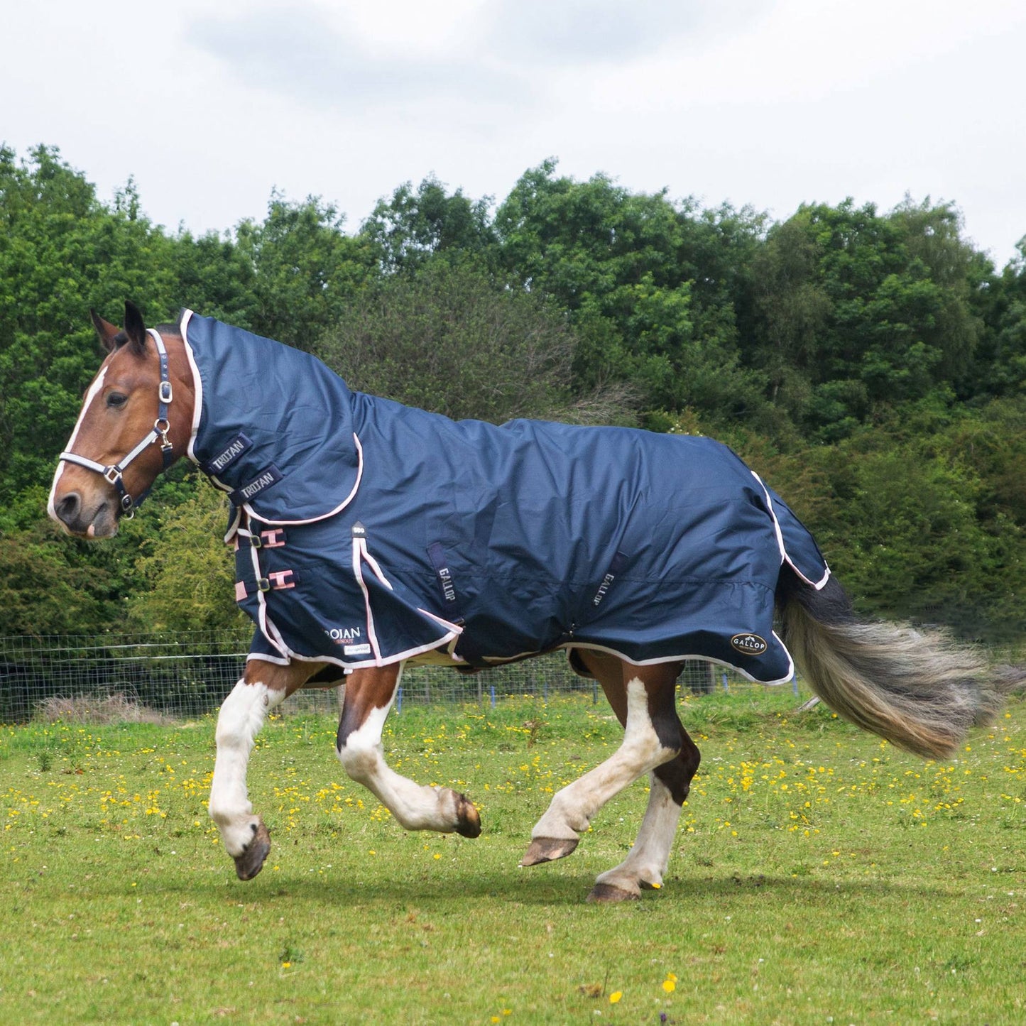 Trojan Duraproof 50g Turnout Combo