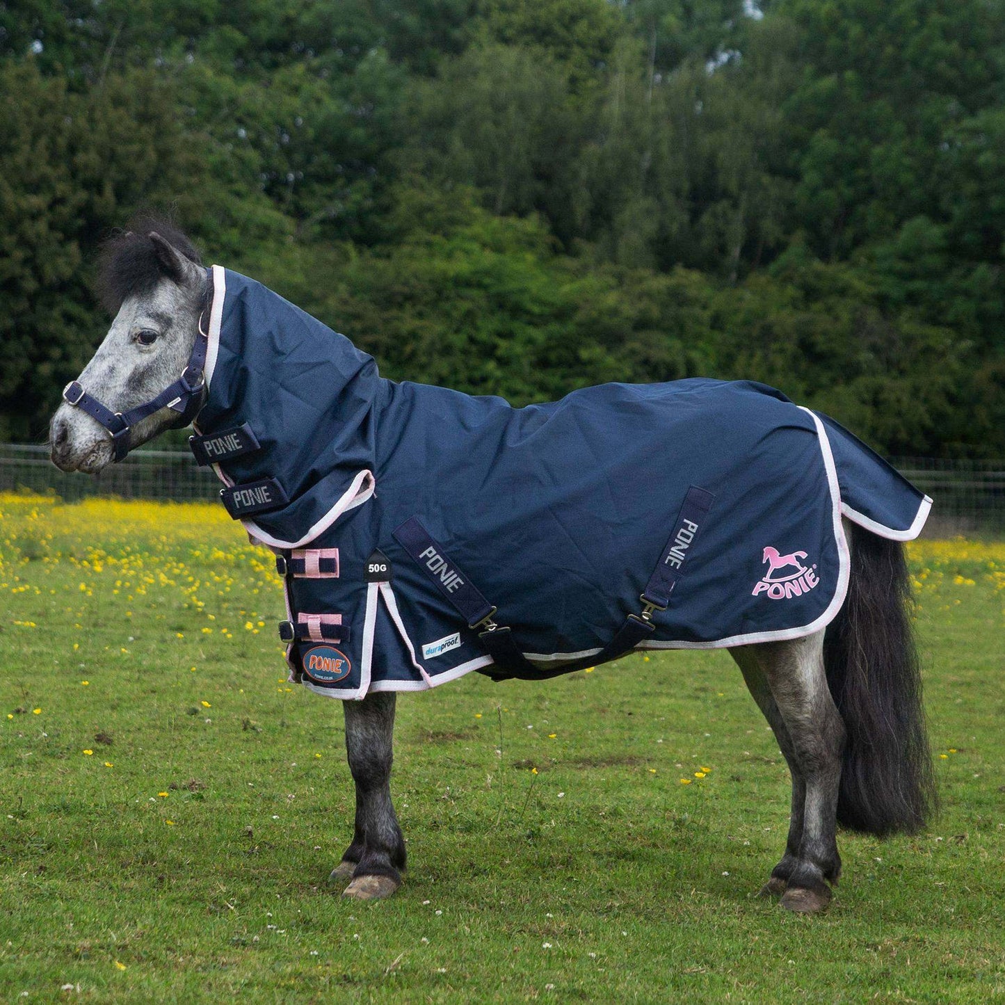 Ponie Duraproof 50g Turnout Combo