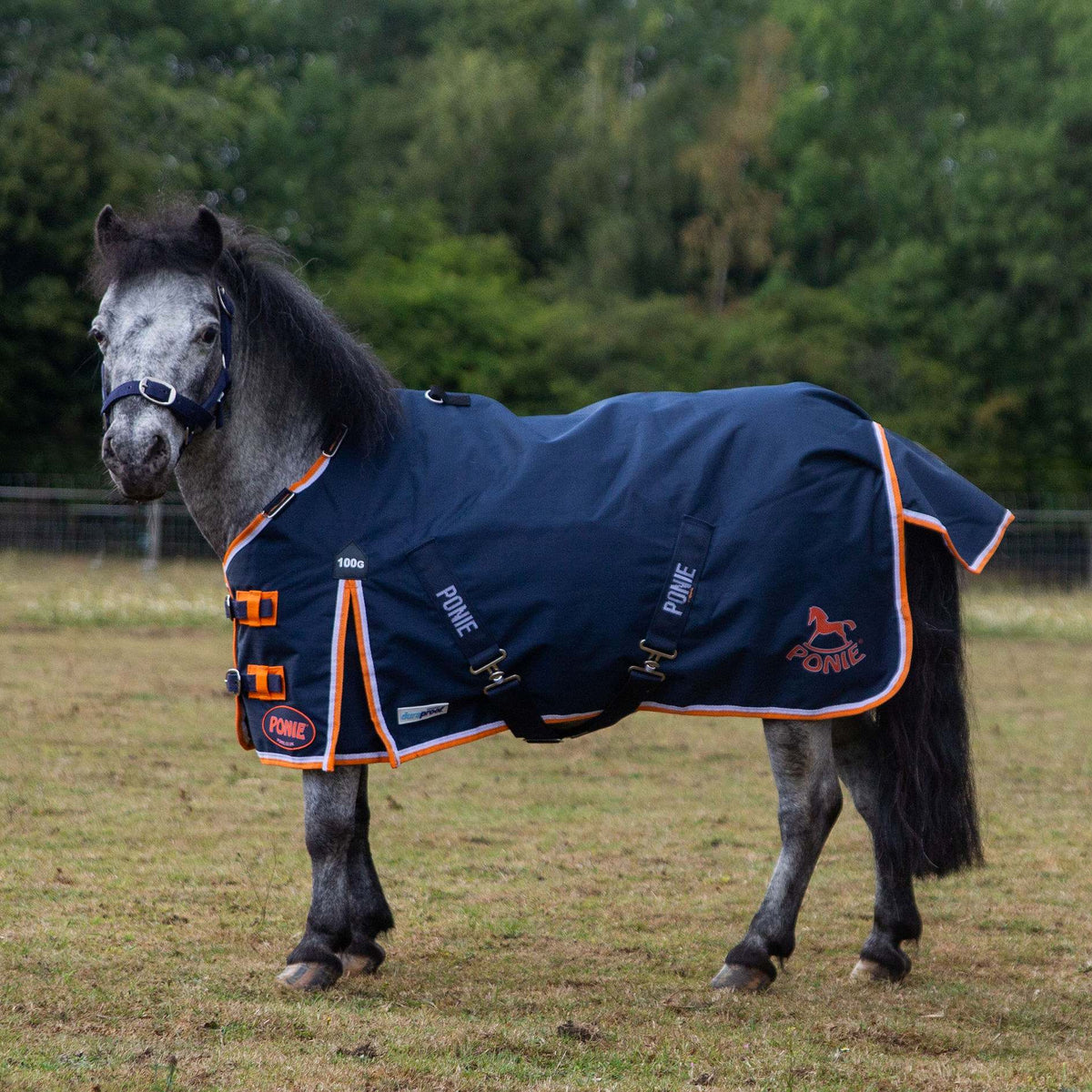PONIE Duraproof 100g Turnout