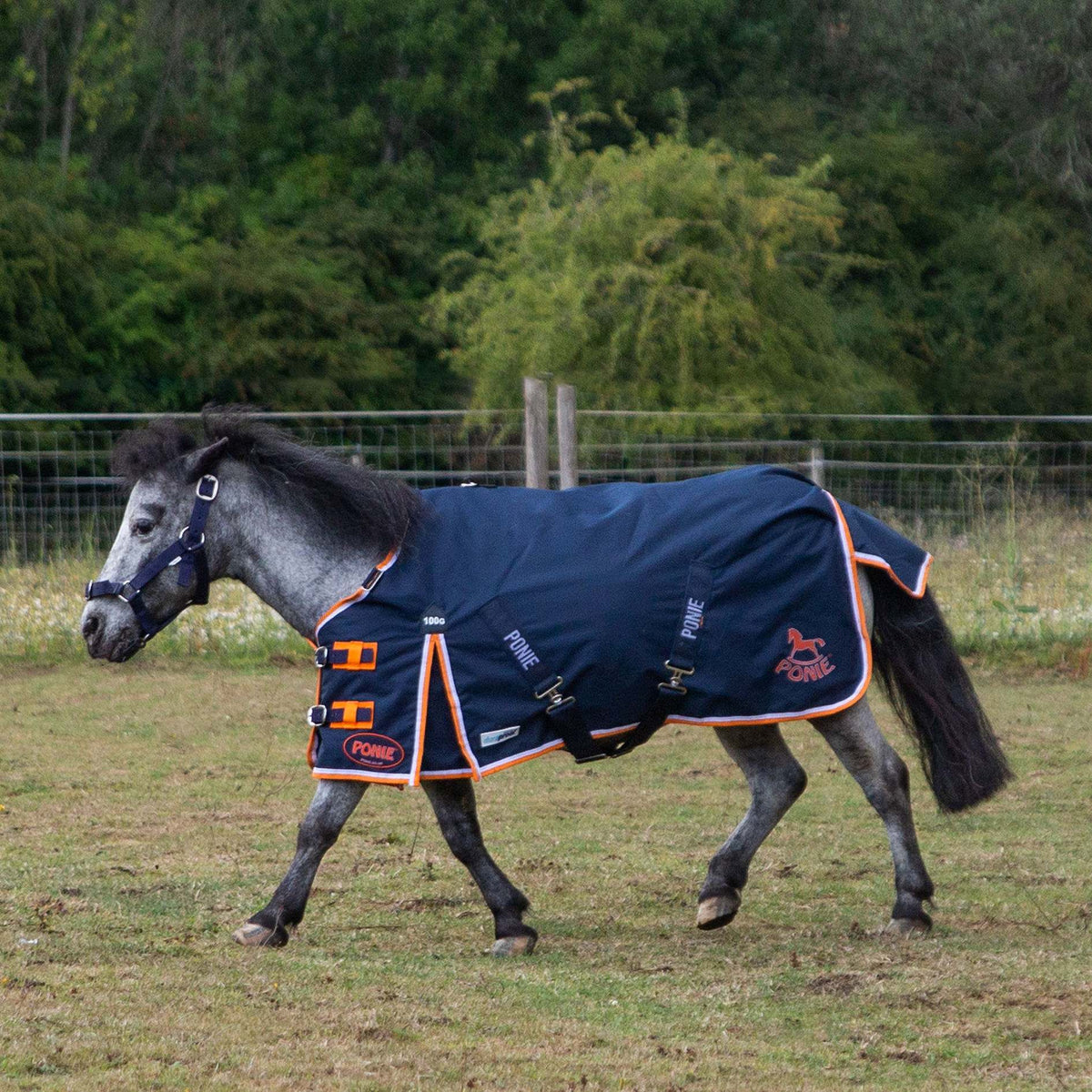 PONIE Duraproof 100g Turnout