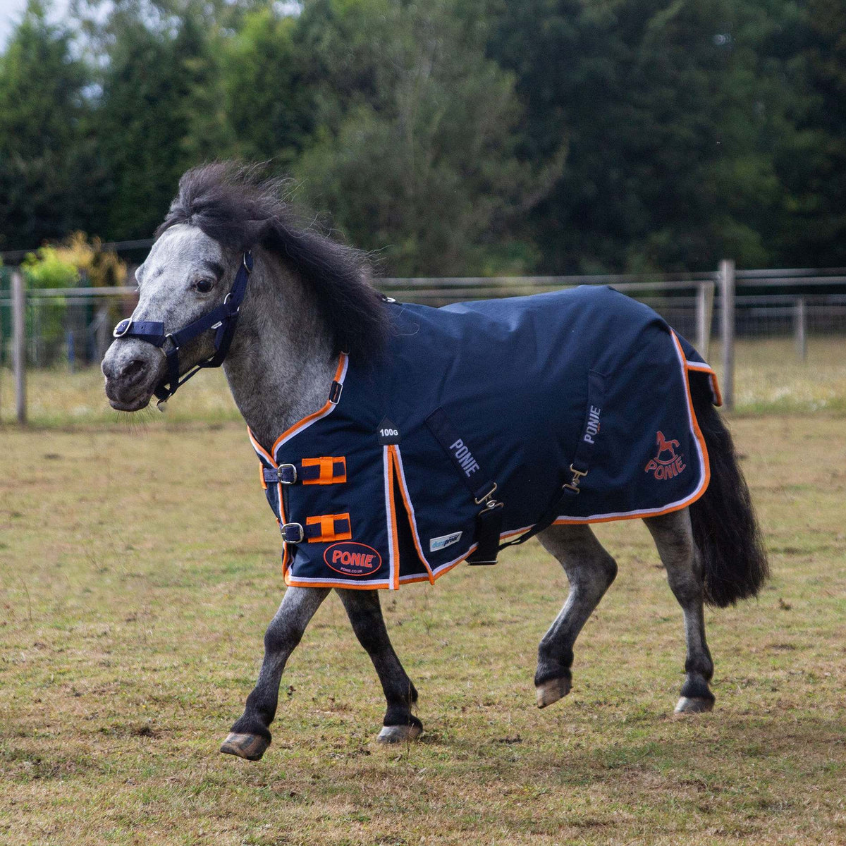 PONIE Duraproof 100g Turnout