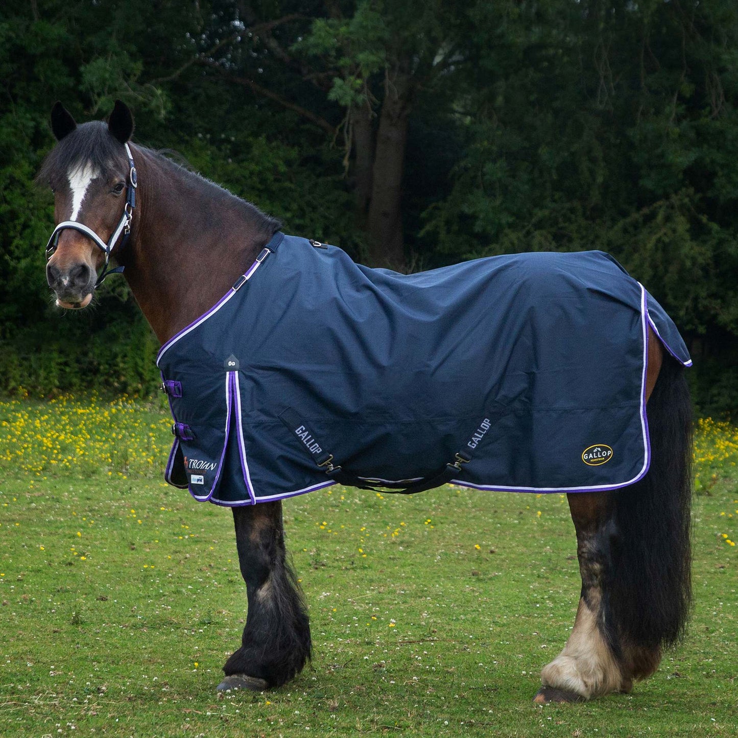 Trojan Duraproof Lightweight Turnout