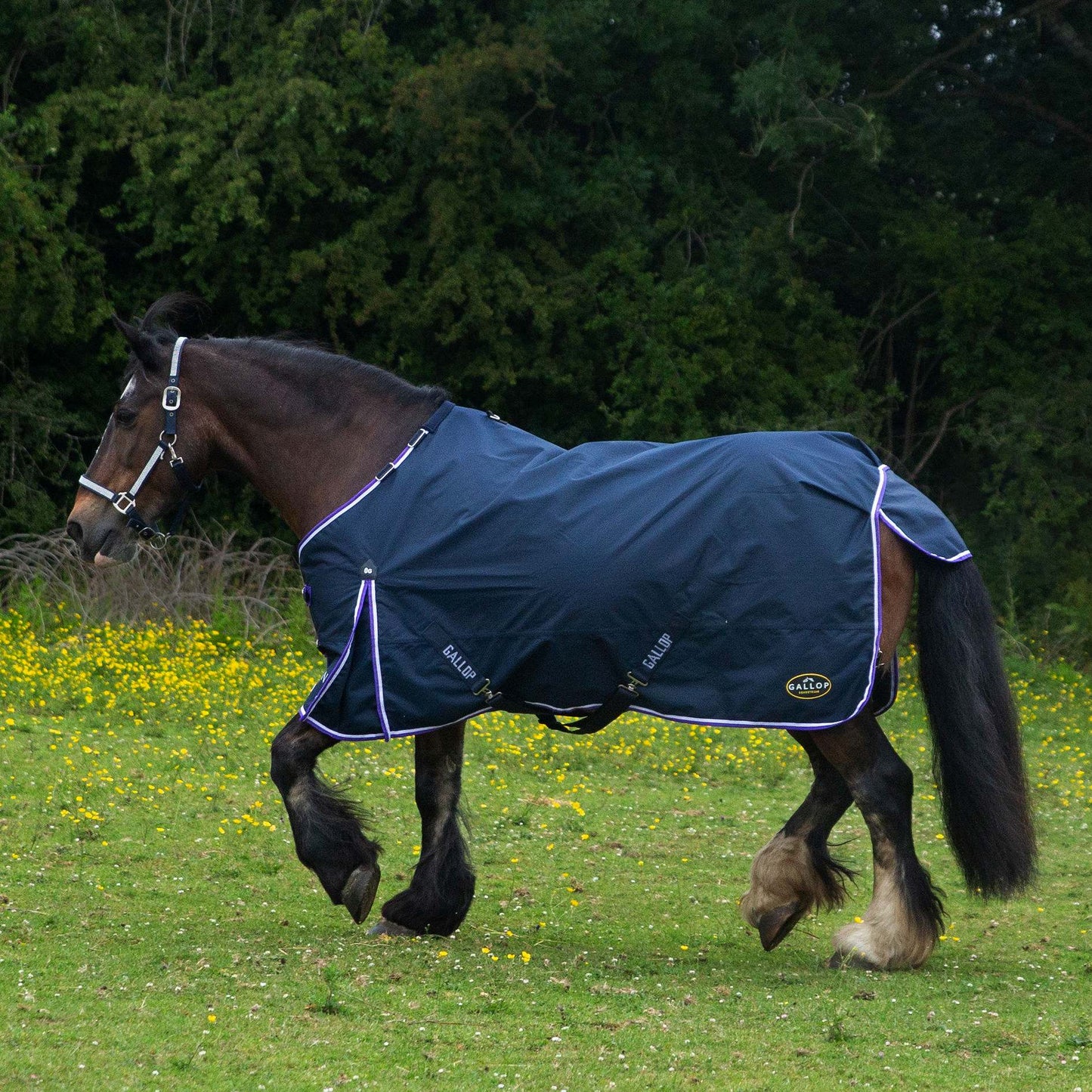 Trojan Duraproof Lightweight Turnout