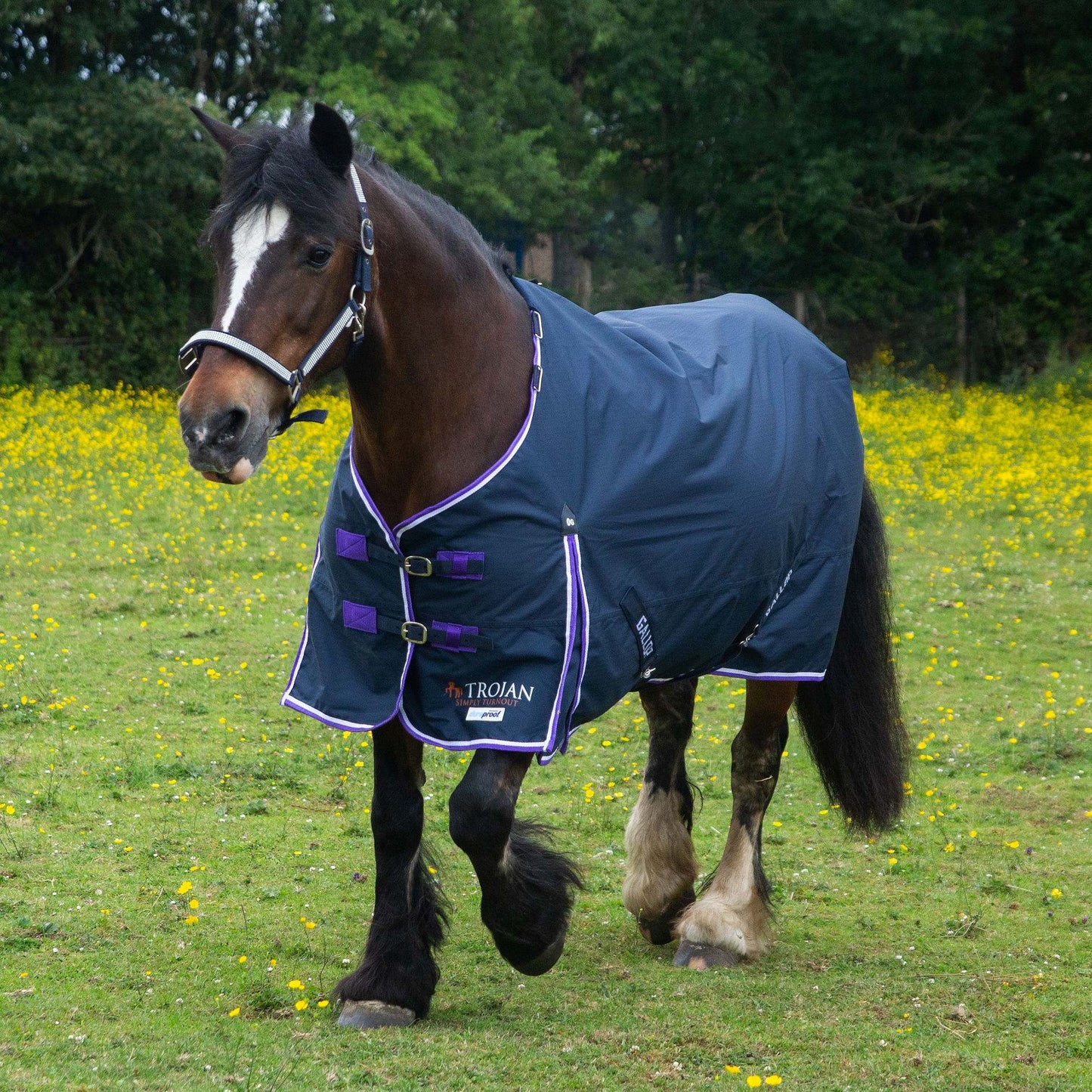 Trojan Duraproof Lightweight Turnout