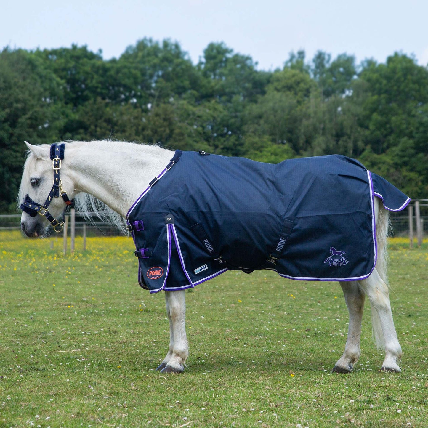 Ponie Duraproof Lightweight Turnout