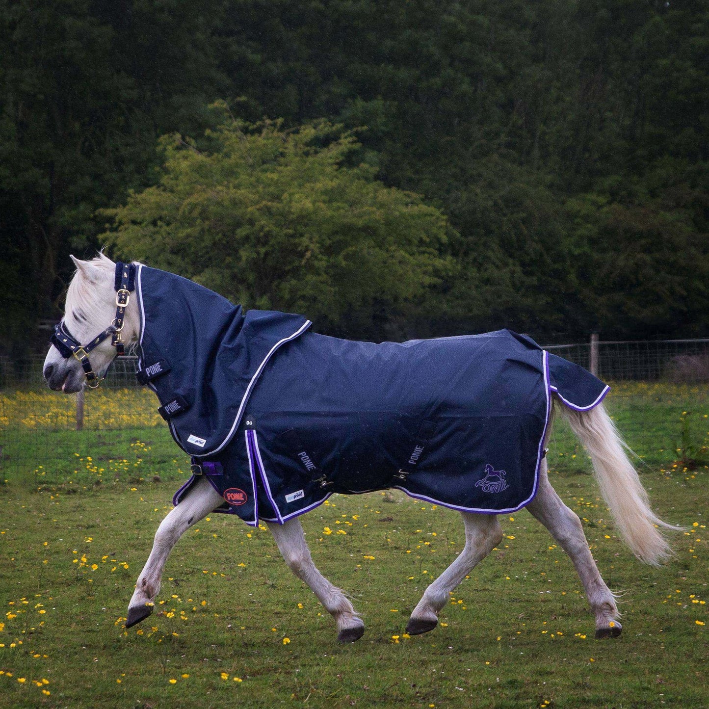 Ponie Duraproof Lightweight Turnout