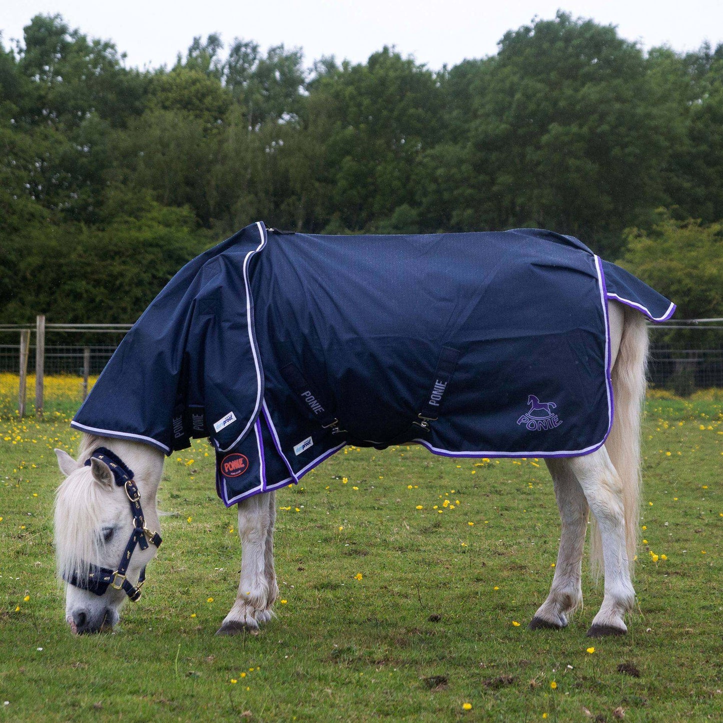 Ponie Duraproof Lightweight Turnout