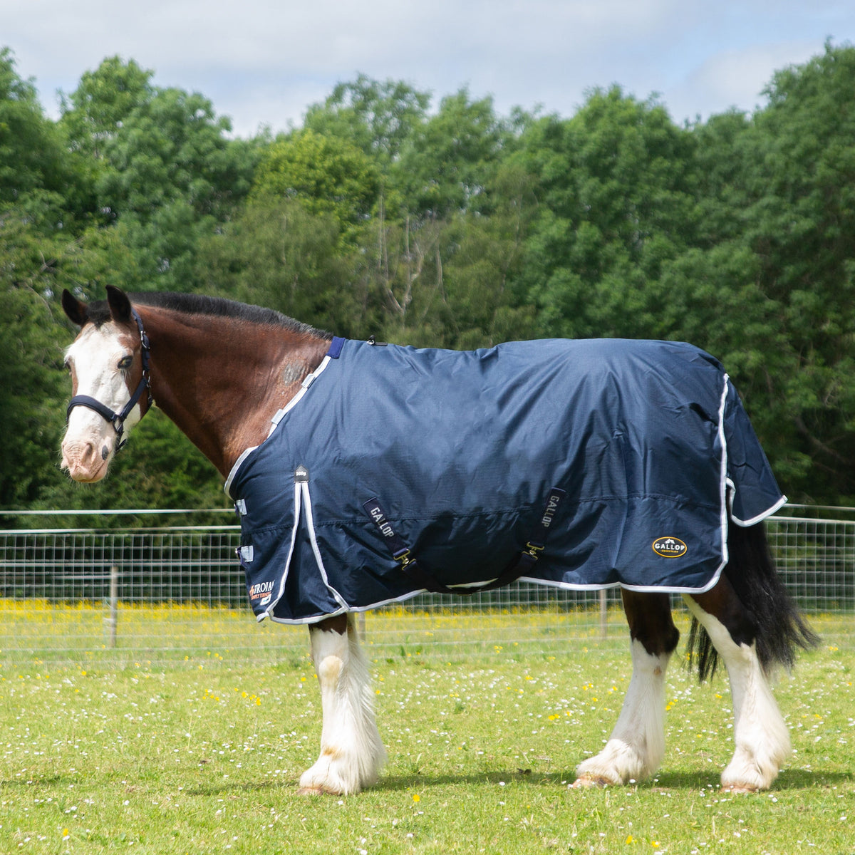TROJAN Duraproof 300g Turnout