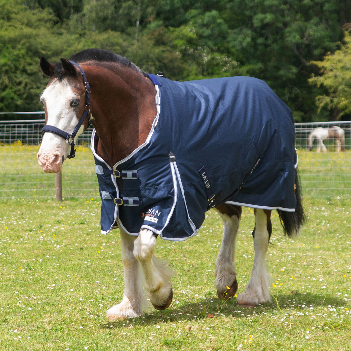 TROJAN Duraproof 300g Turnout
