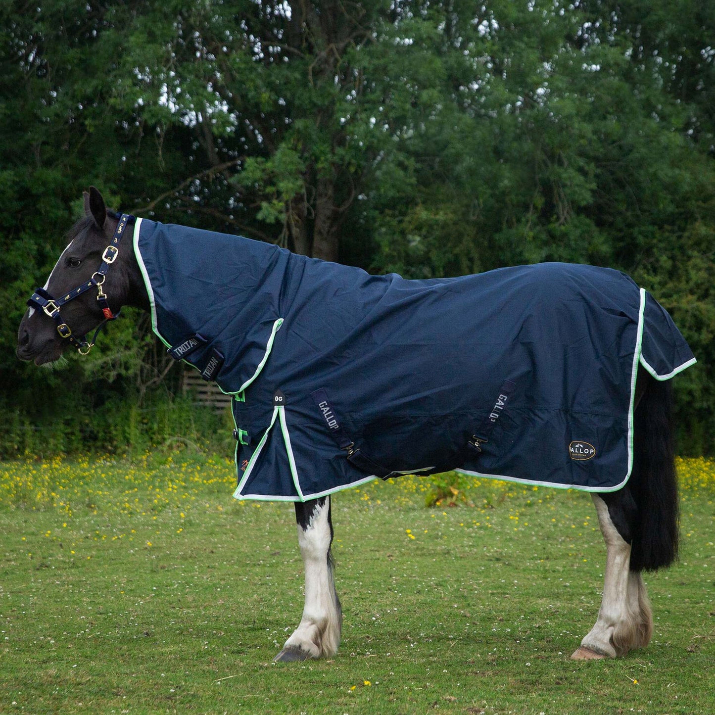 Trojan Duraproof Lightweight Turnout Combo