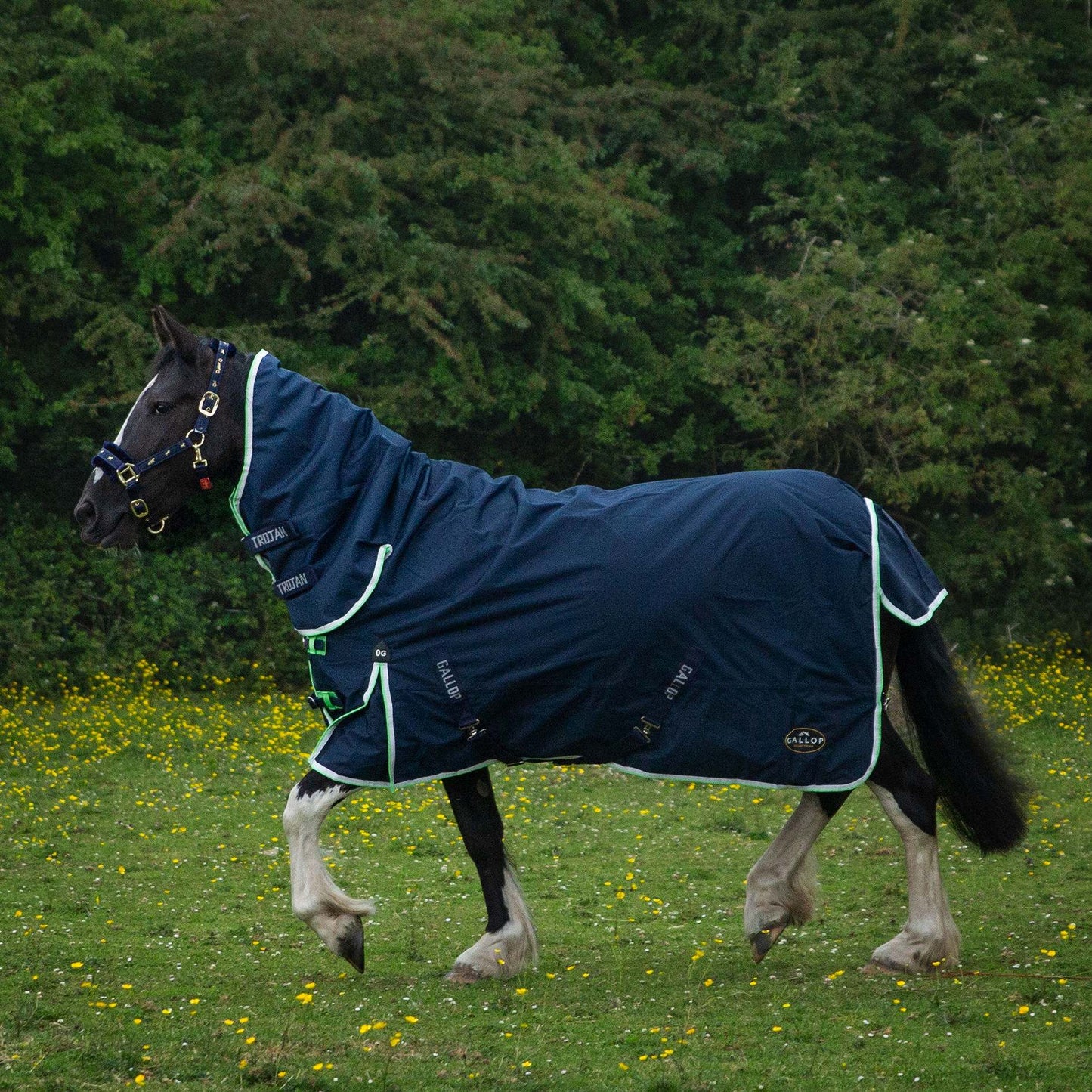 Trojan Duraproof Lightweight Turnout Combo