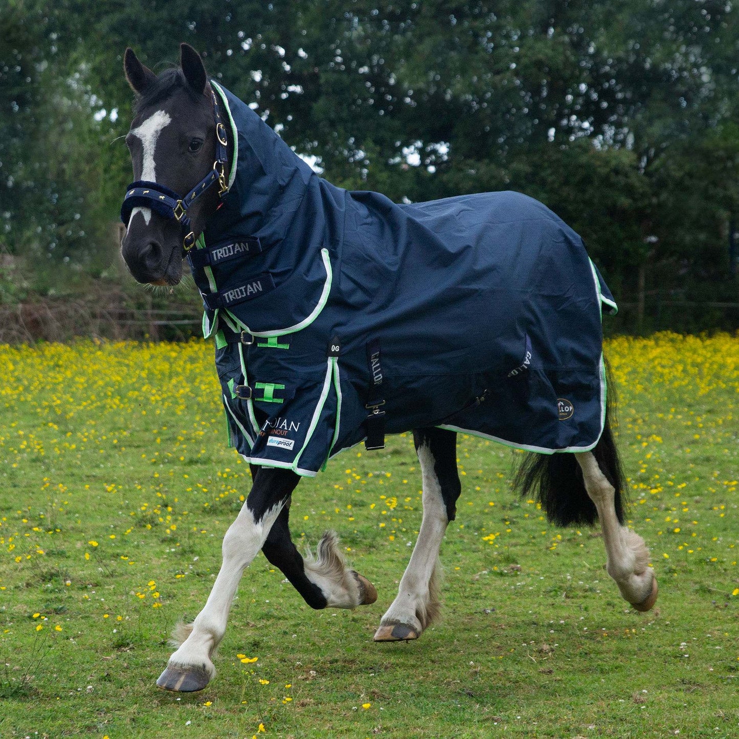 Trojan Duraproof Lightweight Turnout Combo