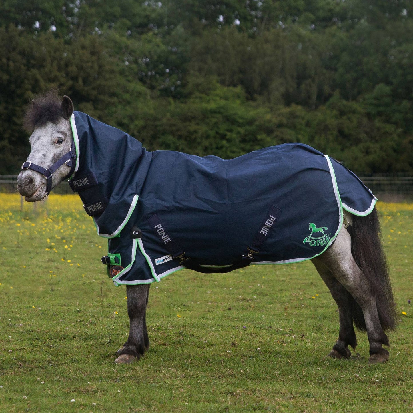 Ponie Duraproof Lightweight Turnout Combo