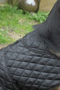 Rhinegold Balmoral Quilted Dog Coat