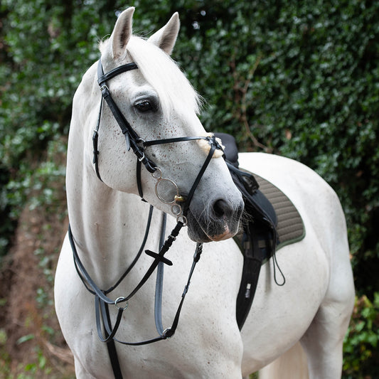 Breastplate Martingale