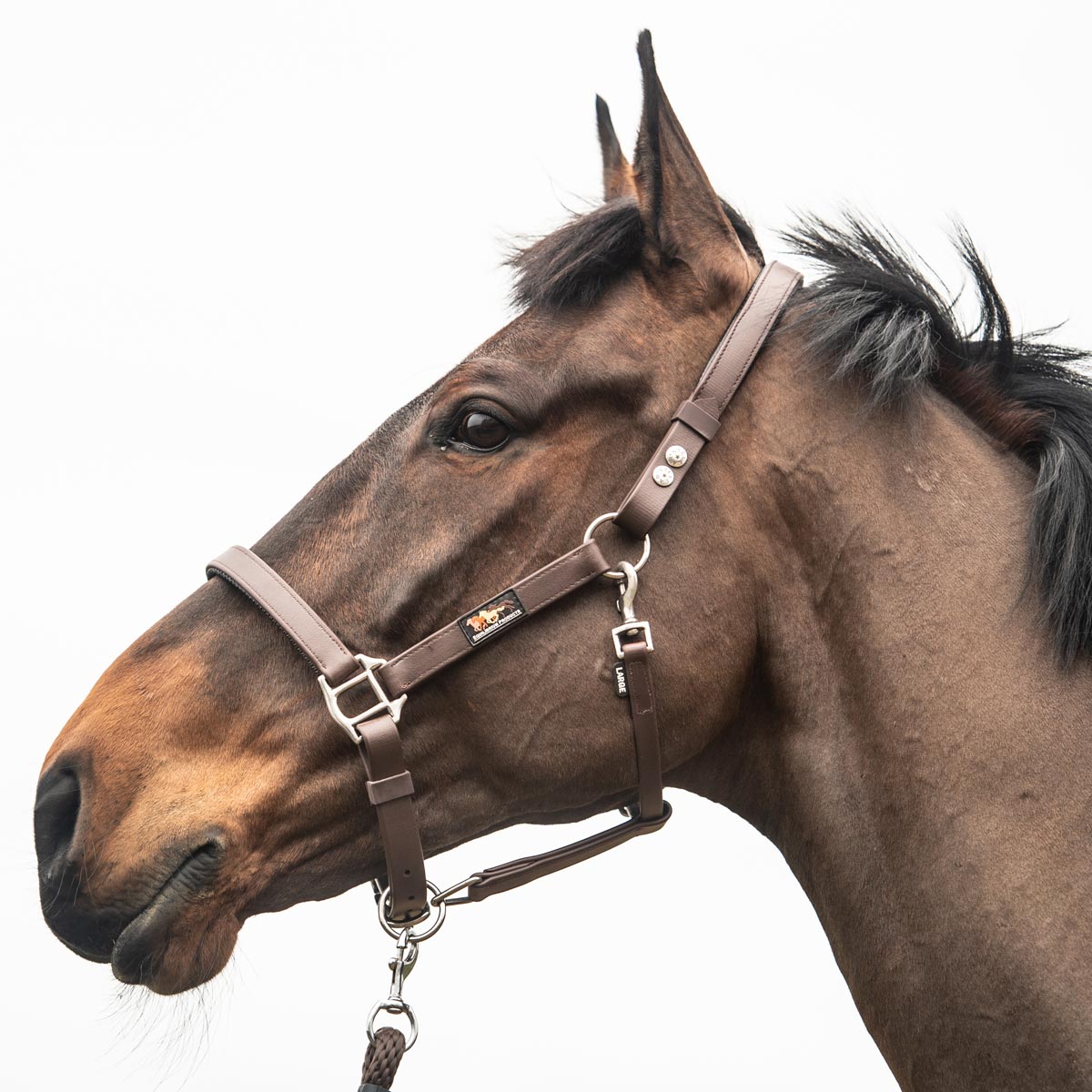 Equilibrium Stellar Safety Headcollar Brown