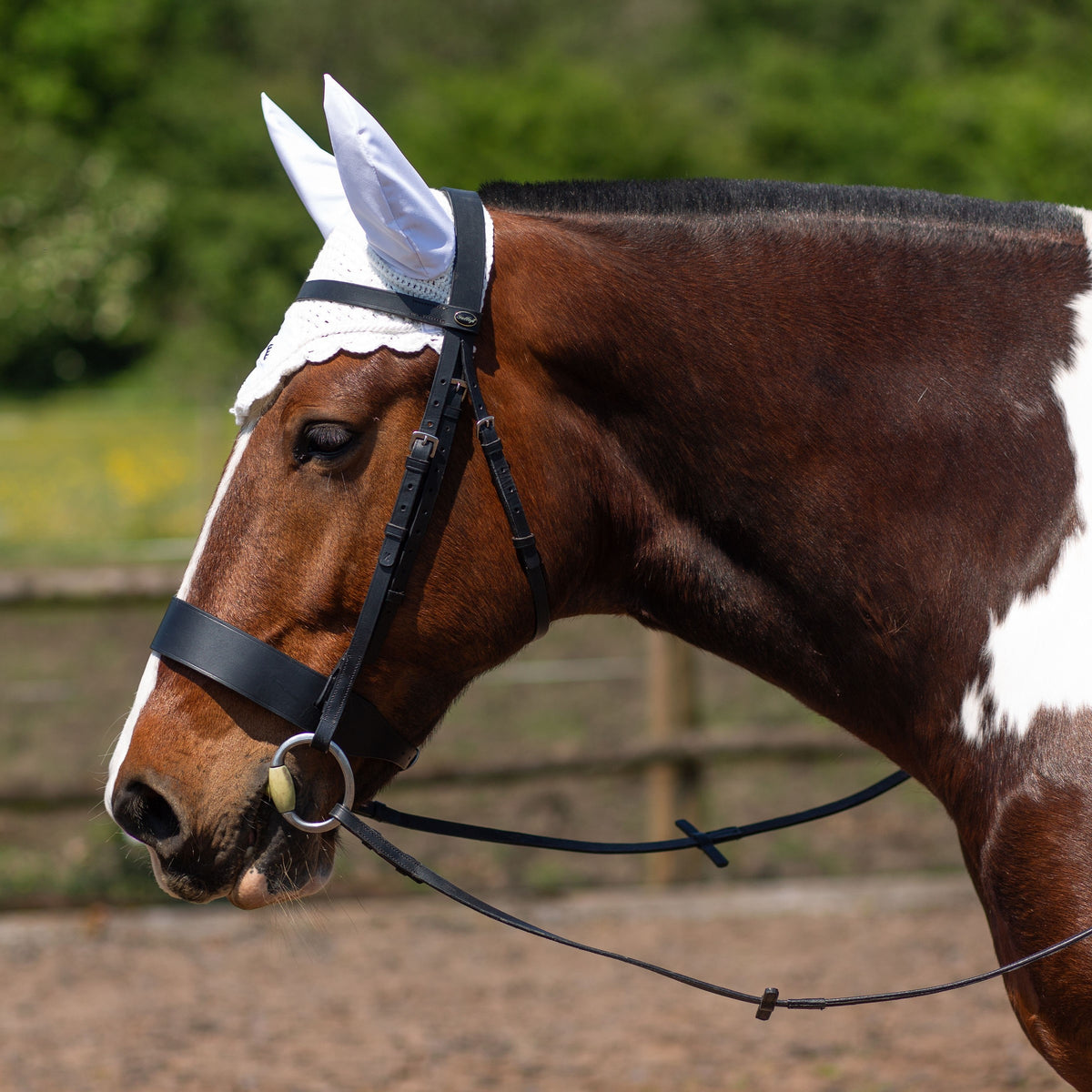 GALLOP White Classic Ear Veil